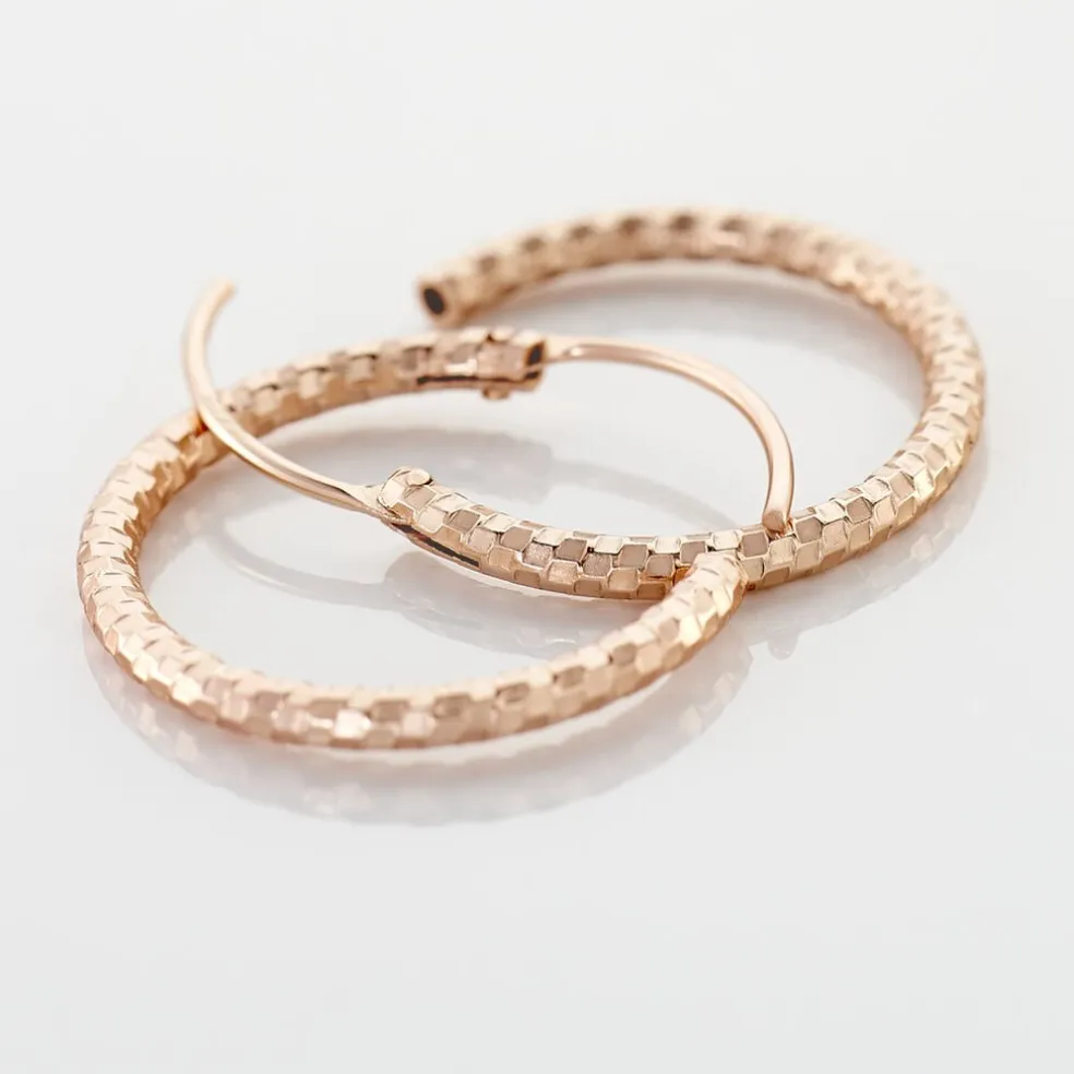 Créoles Argent Rose Agathe