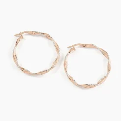 Créoles Argent Rose Alieno