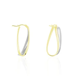 Créoles Ayliz Or Bicolore