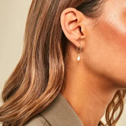 Créoles Bahman Or Jaune Nacre