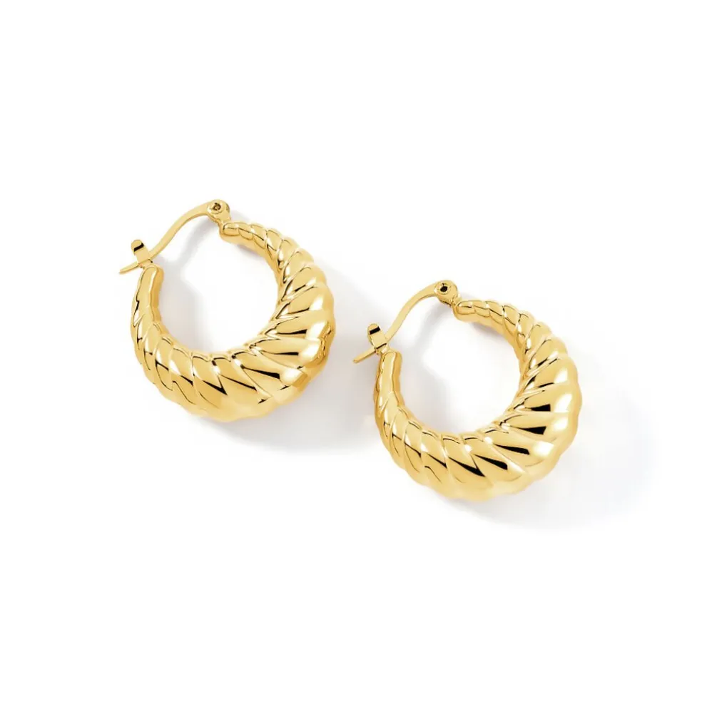 Créoles Clive Acier Doré