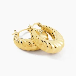 Créoles Clive Acier Doré