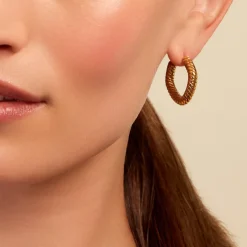 Créoles Dafnie Acier Jaune