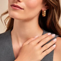 Créoles Dafnie Acier Jaune