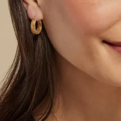 Créoles Leonius Or Jaune