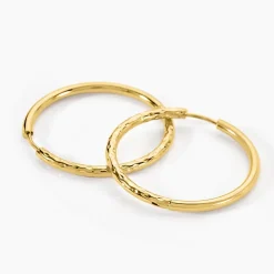 Créoles Loanne Acier Doré