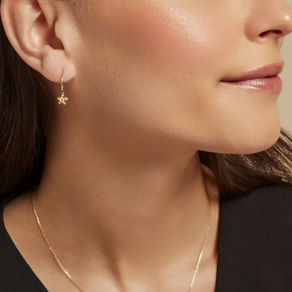 Créoles Rorie Or Jaune