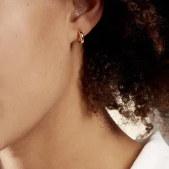 Créoles Shalana Or Jaune