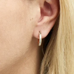 Créoles Sterala Or Jaune Strass