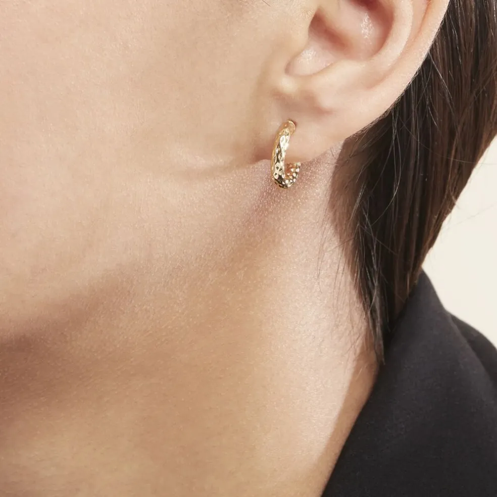 Créoles Udara Or Jaune