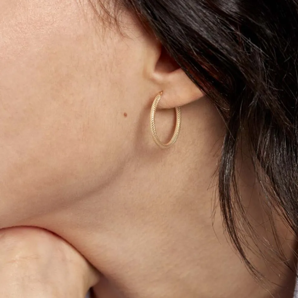 Créoles Ulrica Or Jaune