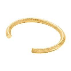 Jonc Hera Acier Dore Yseut Effet Strie