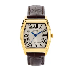 Montre Arctik Globe Argenté