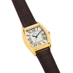 Montre Arctik Globe Argenté