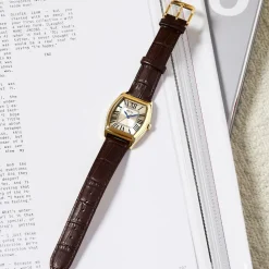 Montre Arctik Globe Argenté