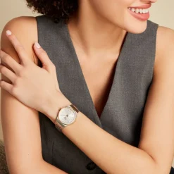 Montre Boss Candor Argenté