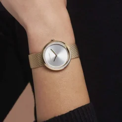 Montre Calvin Klein Twist Argenté