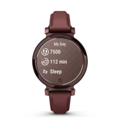 Montre Connectée Garmin Lily 2 Marron