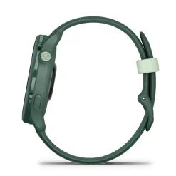 Montre Connectée Garmin Vivoactive 6