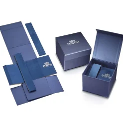 Montre Festina Classics Bleu