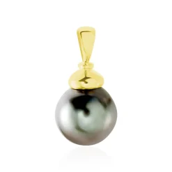 Pendentif Cerclee Or Jaune Perle De Culture De Tahiti