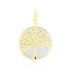 Pendentif Or Jaune Noamie Nacre