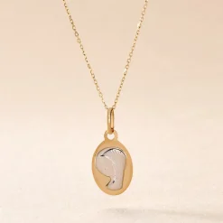 Pendentif Vierge Ovale Or Bicolore