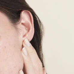 Piercing D'oreille Or Jaune Albiza Oxyde De Zirconium